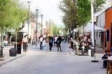 articulo relacionado