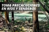 articulo relacionado