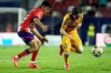 articulo relacionado