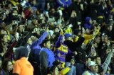 articulo relacionado