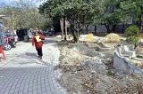 articulo relacionado