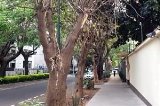 articulo relacionado