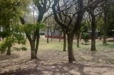 articulo relacionado