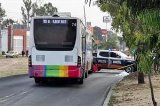 articulo relacionado