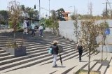 articulo relacionado