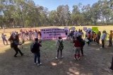 articulo relacionado