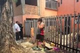 articulo relacionado