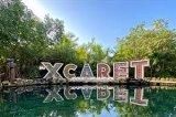 articulo relacionado
