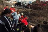 articulo relacionado