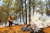 articulo relacionado