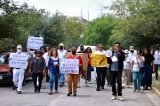 articulo relacionado
