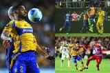 articulo relacionado