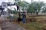articulo relacionado