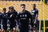 articulo relacionado