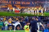 articulo relacionado