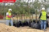 articulo relacionado