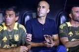 articulo relacionado