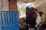 articulo relacionado