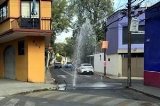 articulo relacionado