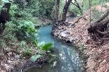 articulo relacionado
