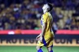 articulo relacionado