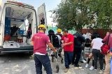articulo relacionado