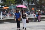 articulo relacionado