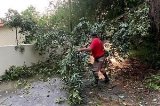 articulo relacionado