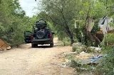 articulo relacionado