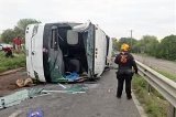 articulo relacionado