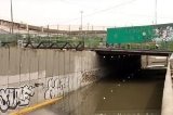 articulo relacionado