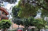 articulo relacionado