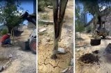articulo relacionado