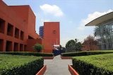 articulo relacionado