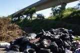 articulo relacionado