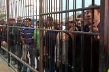 articulo relacionado