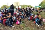 articulo relacionado