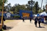 articulo relacionado