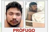 articulo relacionado