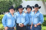 articulo relacionado