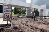 articulo relacionado