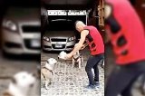 articulo relacionado