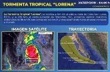 articulo relacionado