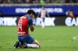 articulo relacionado