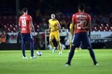 articulo relacionado