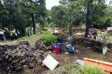 articulo relacionado