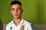 articulo relacionado