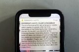 articulo relacionado