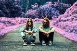 articulo relacionado