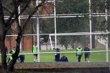 articulo relacionado